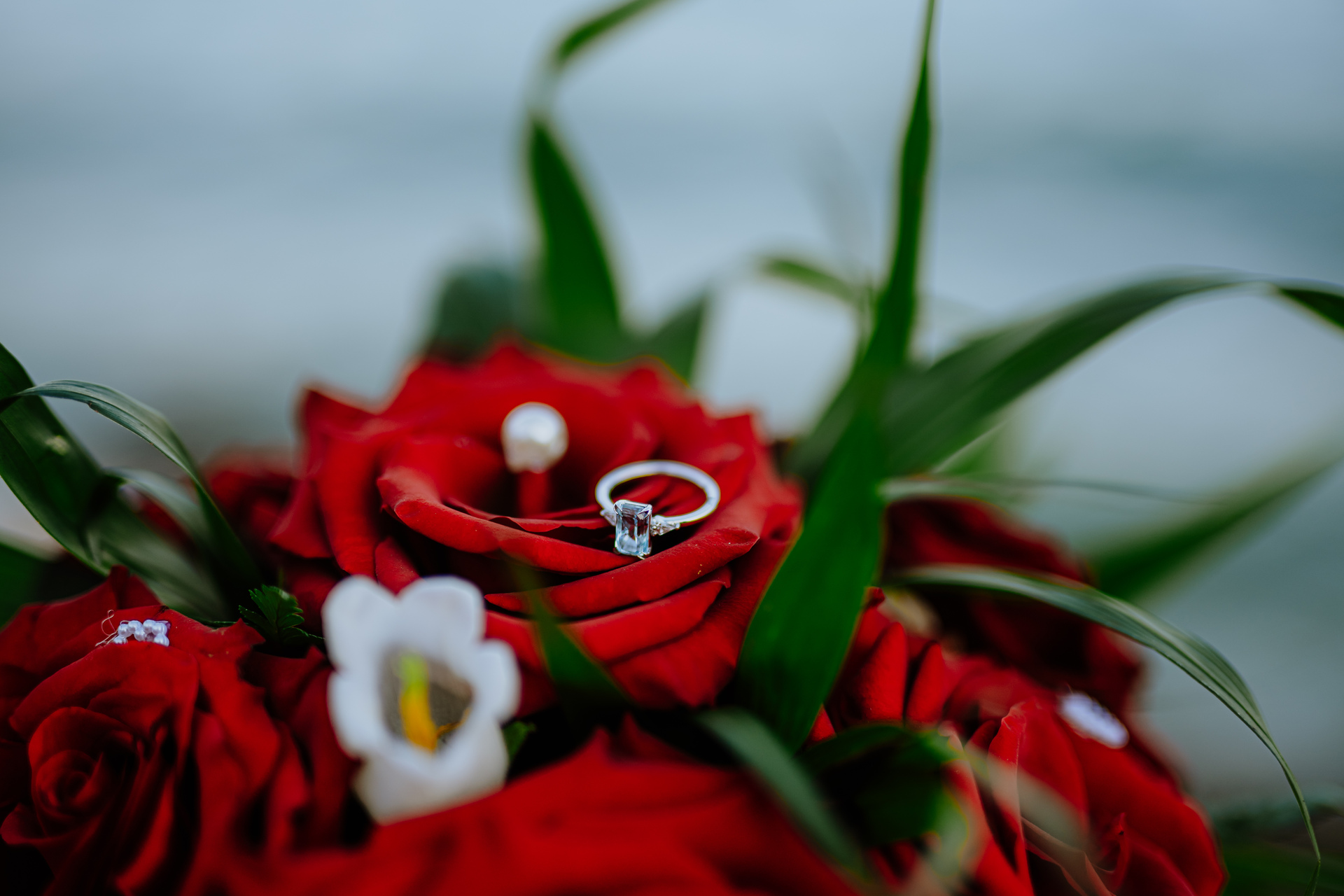 Engagement Proposal 11