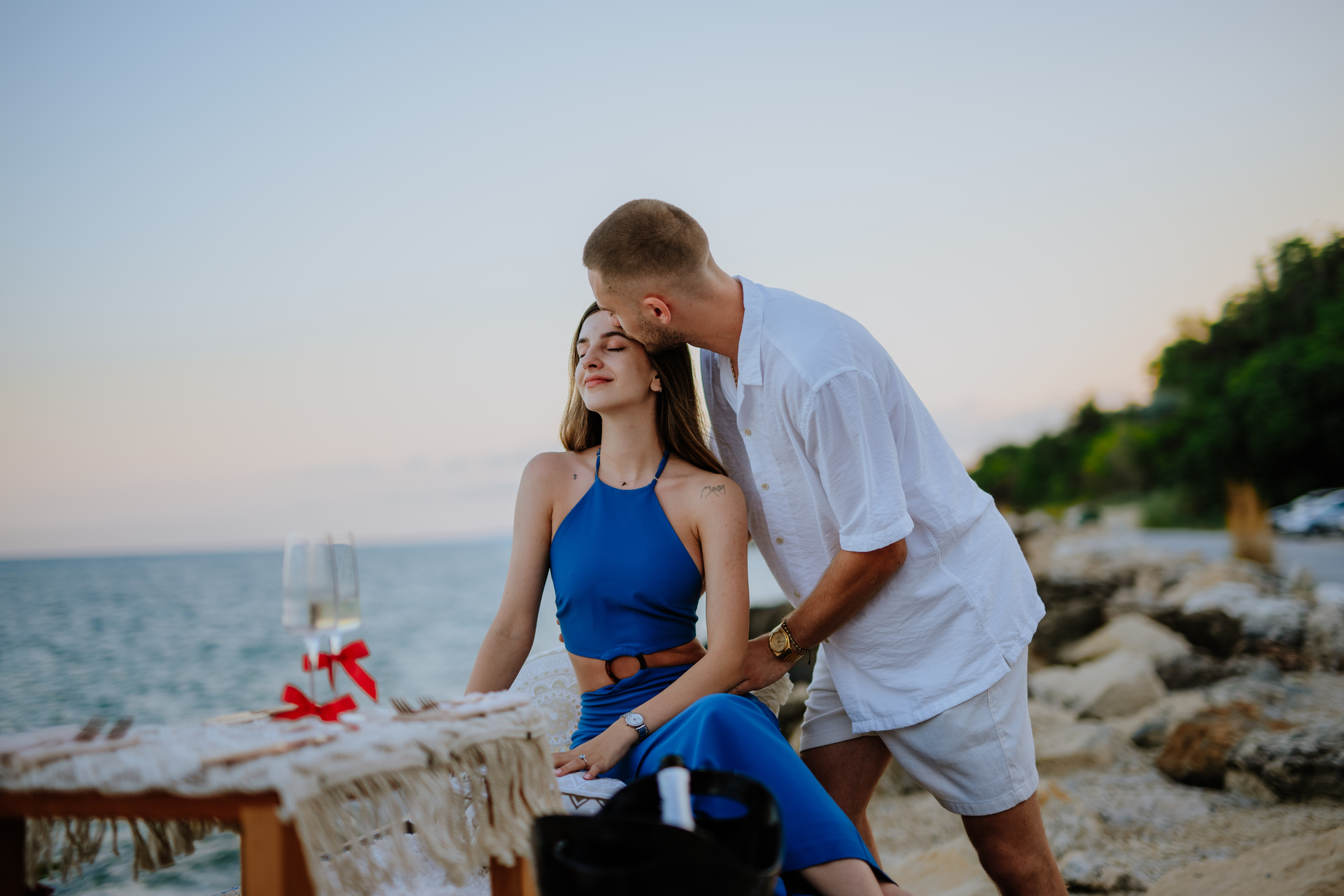 Engagement Proposal 85