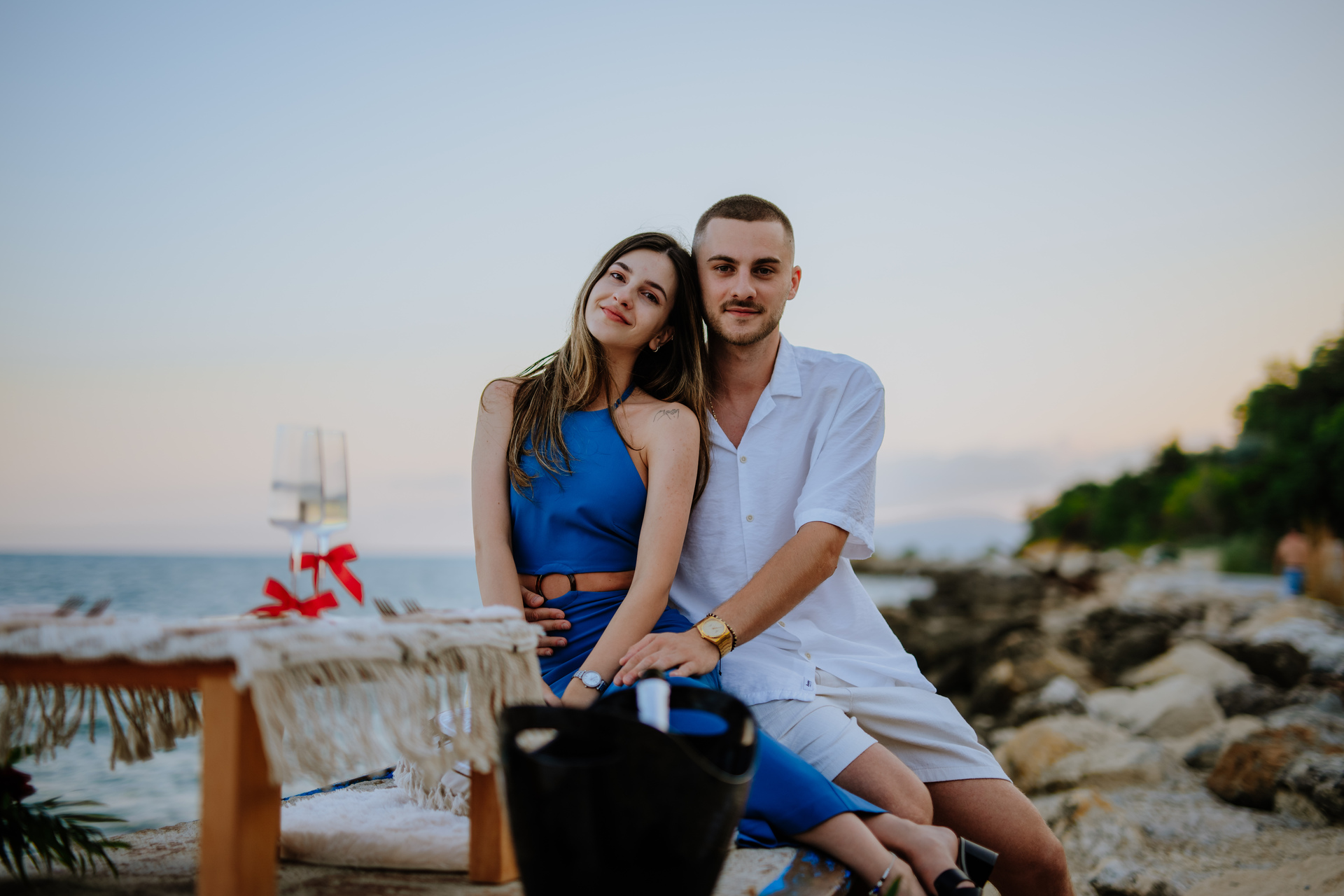 Engagement Proposal 86